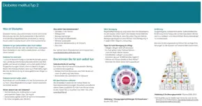 Patientenbroschre_DiabetesmellitusTyp2_15546_DE.pdf