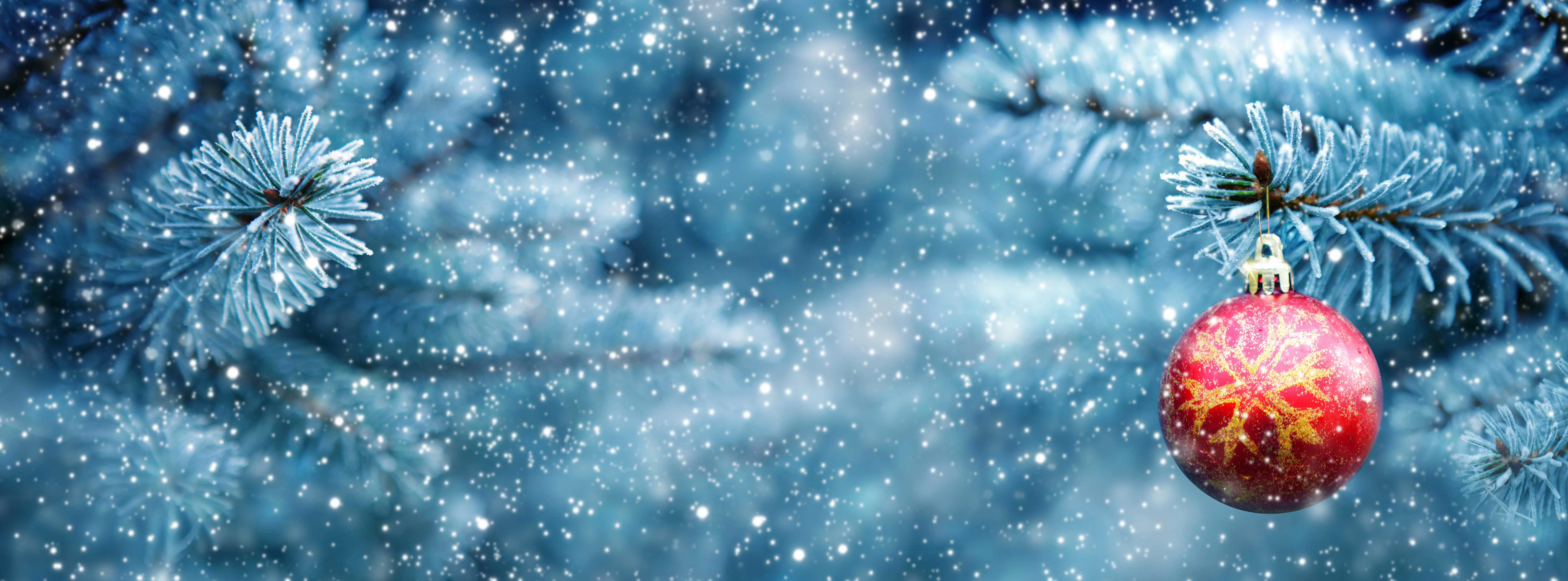 Ein Wunsch ans Christkind?