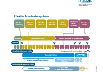 2.5 Patentnutzungsdauer