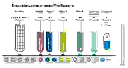 Entwicklungsphasen eines Medikaments | © PHARMIG - Verband der pharmazeutischen Industrie Österreichs 2023