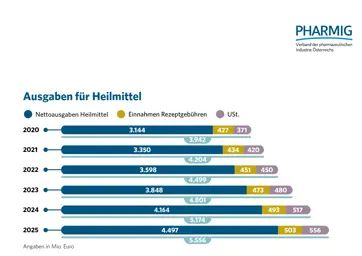 1.5 Ausgaben für Heilmittel 2020 bis 2025