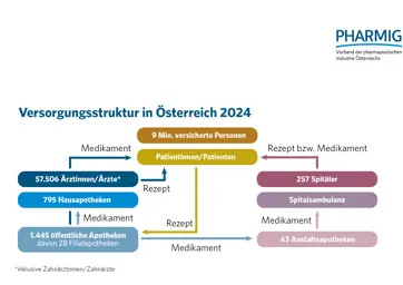 1.6 Versorgungsstruktur in Österreich 2024